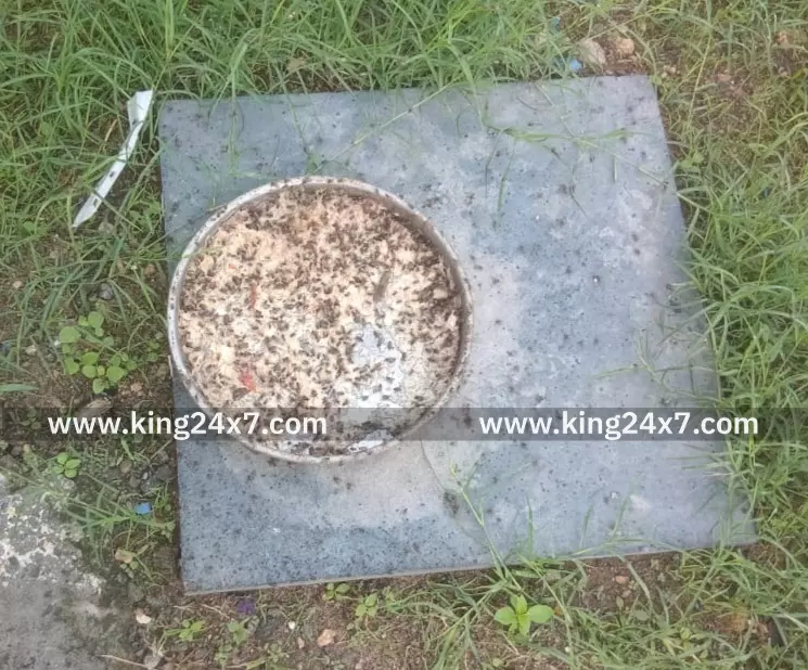 பல்லடம் அருகே கோழிப்பண்ணையால் ஈ தொல்லை பொதுமக்கள் குற்றச்சாட்டு