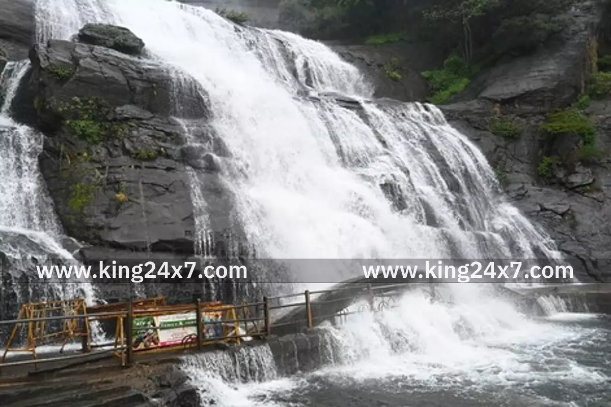 குற்றாலம் பேரருவியில் 8ஆவது நாளாக குளிக்கத் தடை