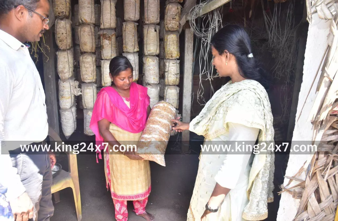 நலம் காக்கும் ஸ்டாலின்  முகாமினை பார்வையிட்டு ஆய்வு மேற்கொண்ட மாவட்ட ஆட்சியர்.