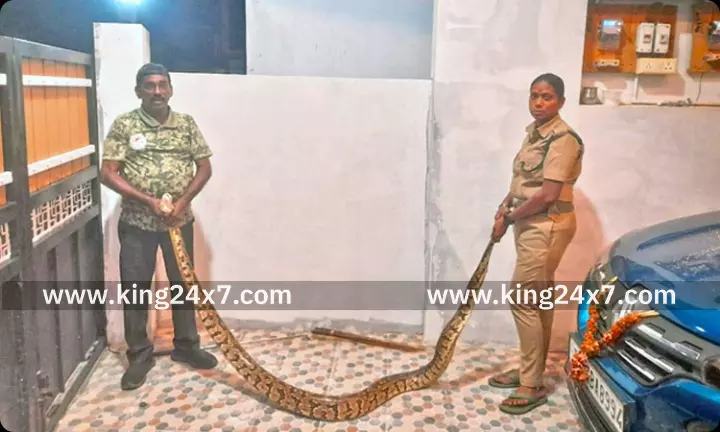 குடியிருப்பு பகுதியில் நுழைந்த மலைப்பாம்பு மீட்பு