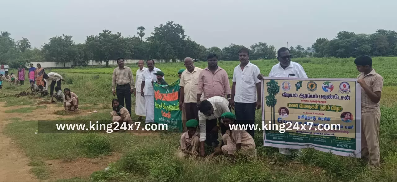 செங்கமா முனியப்பன் கோவில் பகுதியில் நடப்பட்ட பனை விதைகள்  