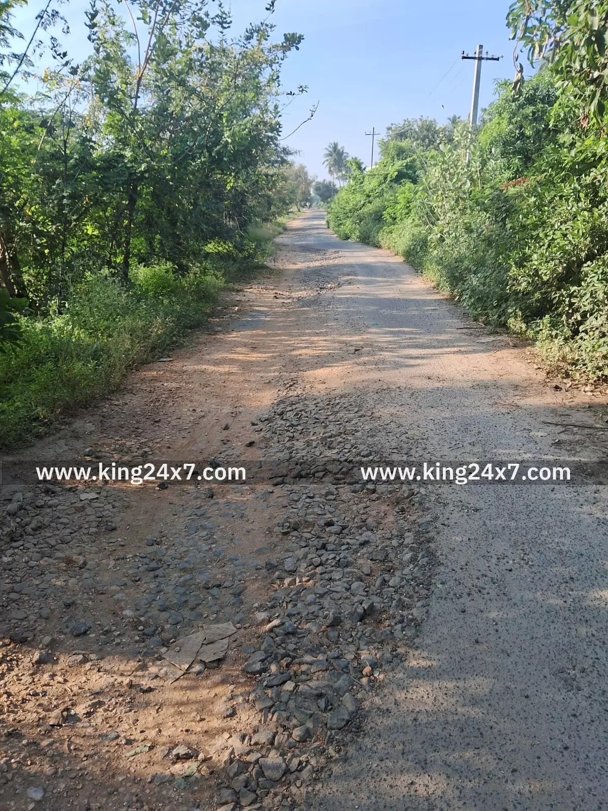 சேதமான சாலையை சீர்படுத்த கோரிக்கை