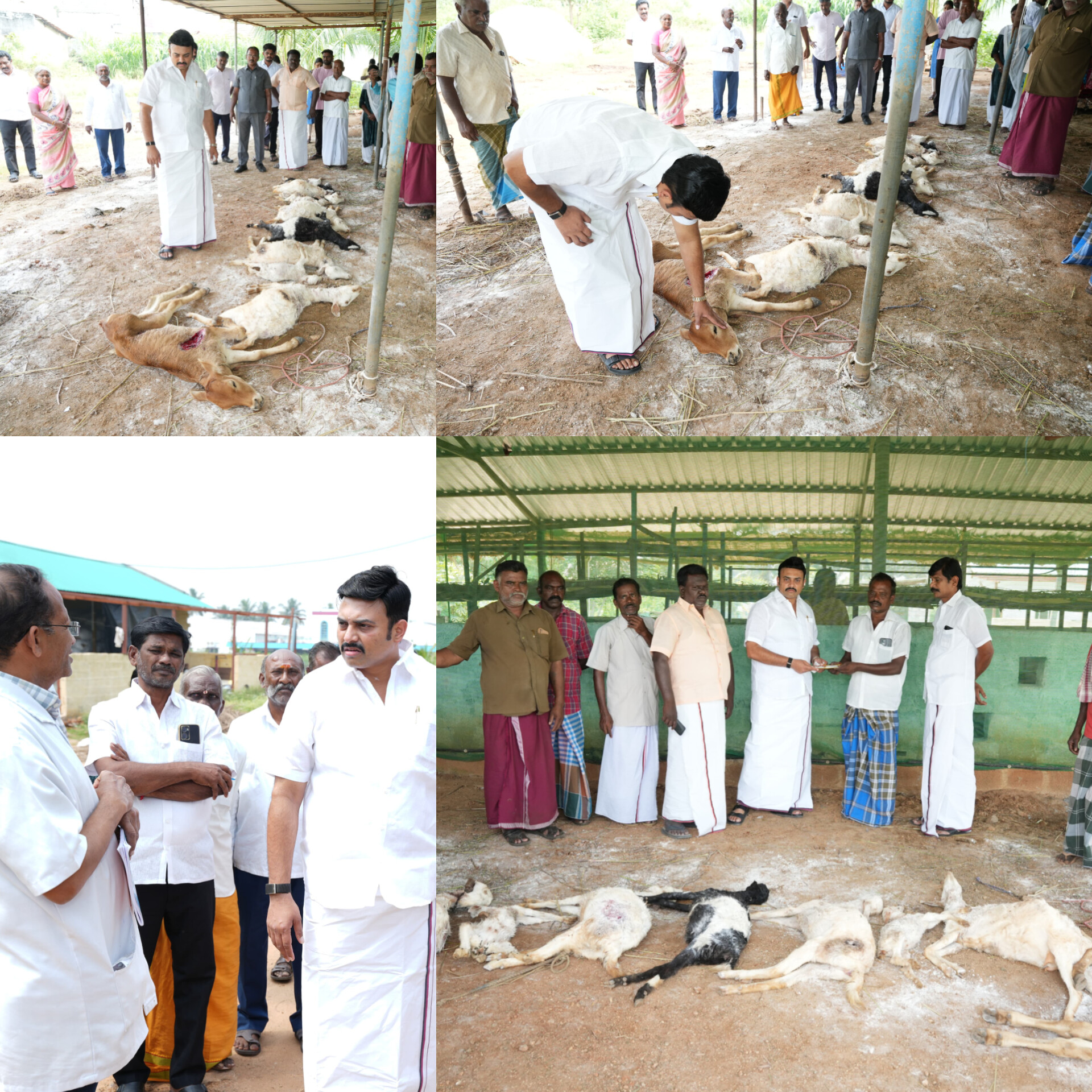 பட்டணம் பகுதியில் வெறி நாய் கடித்து குதறியதில் 8 ஆடுகள் பலி;  விவசாயிகளை சந்தித்து ஆறுதல் தெரிவித்த அமைச்சர் மதிவேந்தன்...