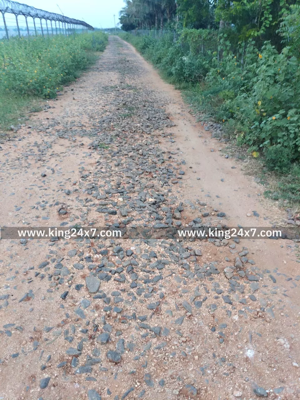 கிருஷ்ணராயபுரம் அருகே ஜல்லிக்கற்களுடன் நிற்கும் தார்சாலைப்பணியை சீரமைக்க பொதுமக்கள் வலியுறுத்தல் கிருஷ்ணராயபுரம் அருகே ஜல்லிக்கற்களுடன் நிற்கும் தார்சாலைப்பணியை சீரமைக்க பொதுமக்கள் வலியுறுத்தல்