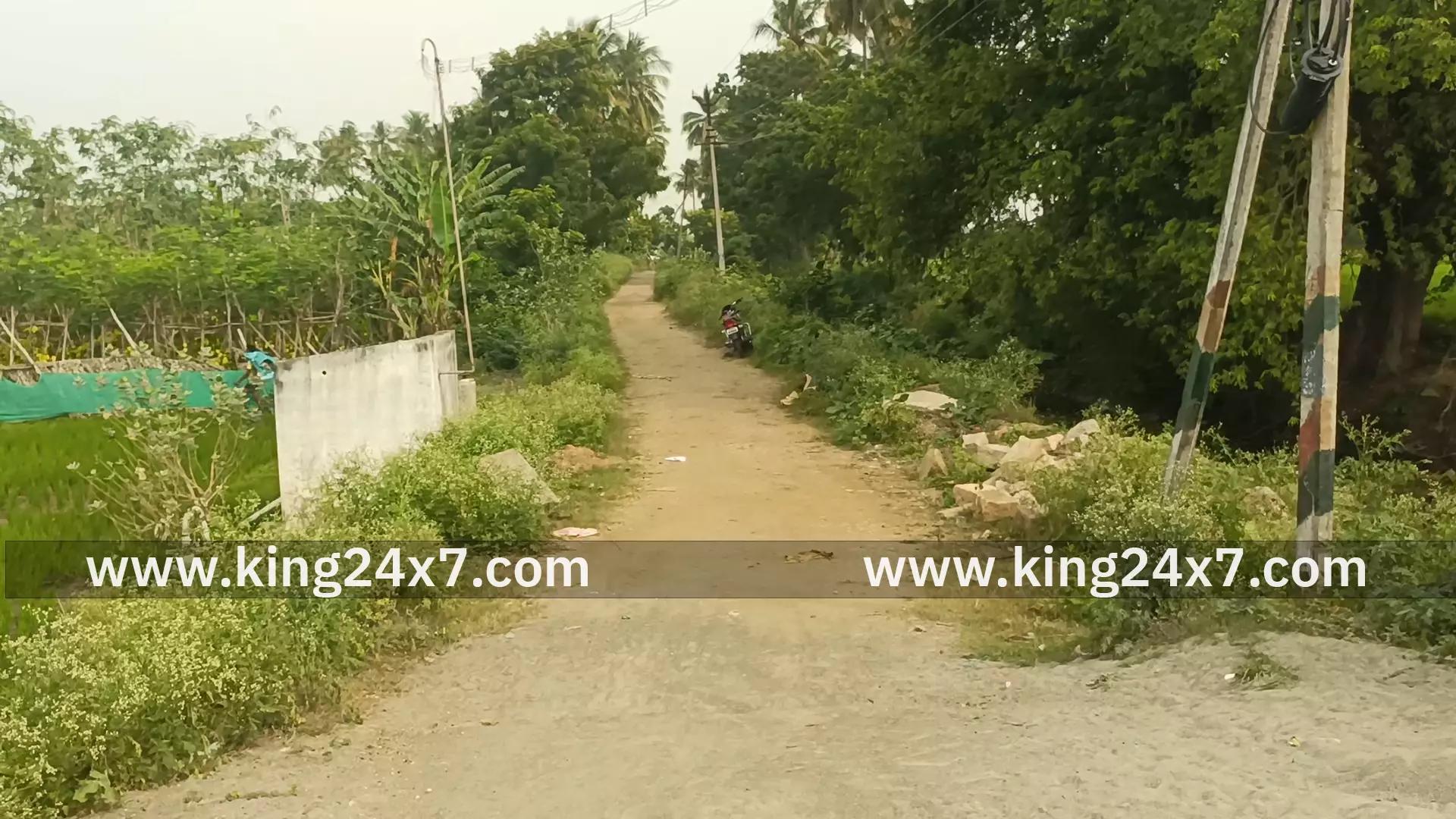 கிருஷ்ணராயபுரம் அருகே பிள்ளபாளையம் பிடாரி அம்மன் கோயில் பாதையில் தார்சாலை அமைக்க வேண்டும் கிருஷ்ணராயபுரம் அருகே பிள்ளபாளையம் பிடாரி அம்மன் கோயில் பாதையில் தார்சாலை அமைக்க வேண்டும்