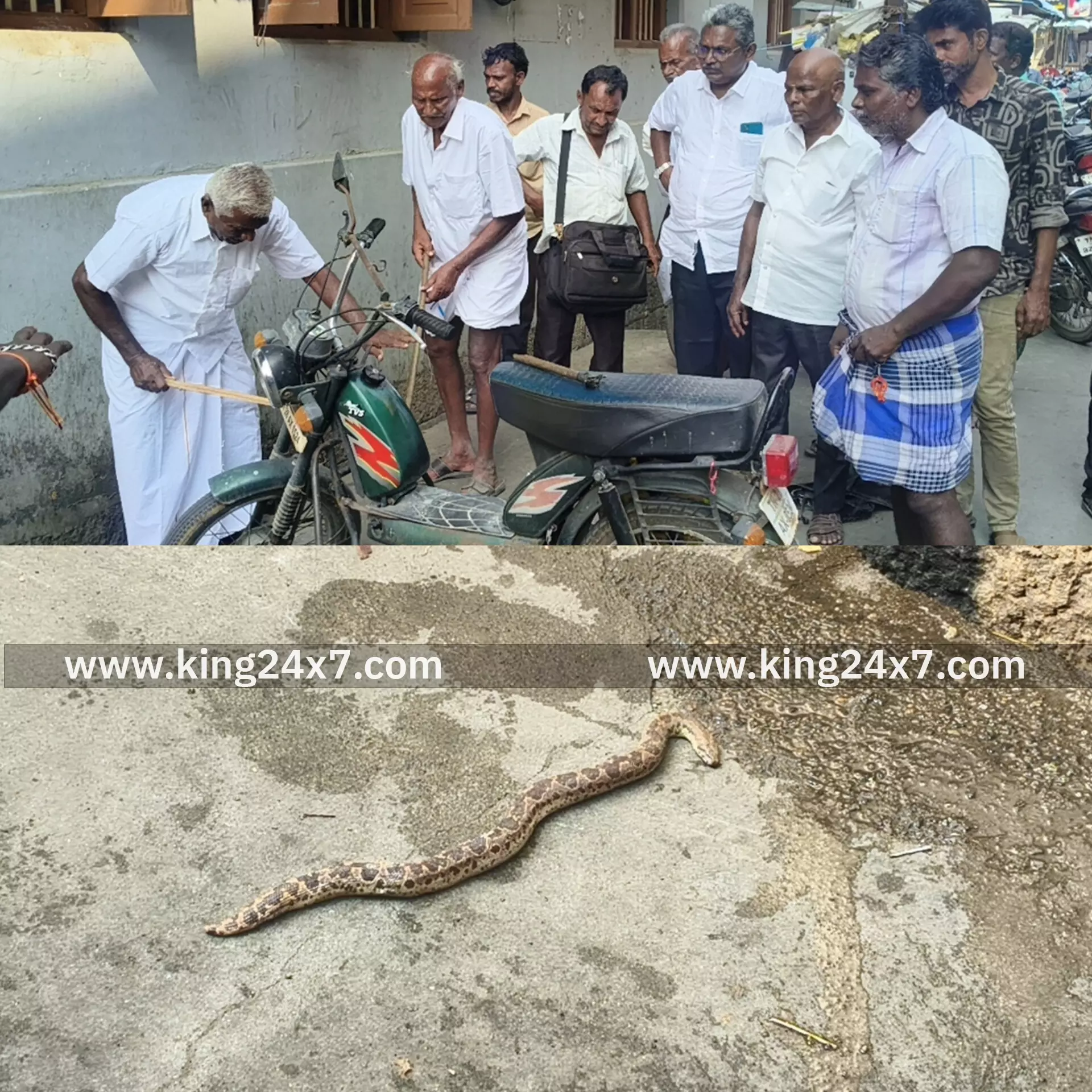 ராசிபுரத்தில் இருசக்கர வாகனத்தில் பதுங்கி இருந்த பாம்பு. லாபகமாக மீட்டு காப்பு காட்டில் விடுவிப்பு...