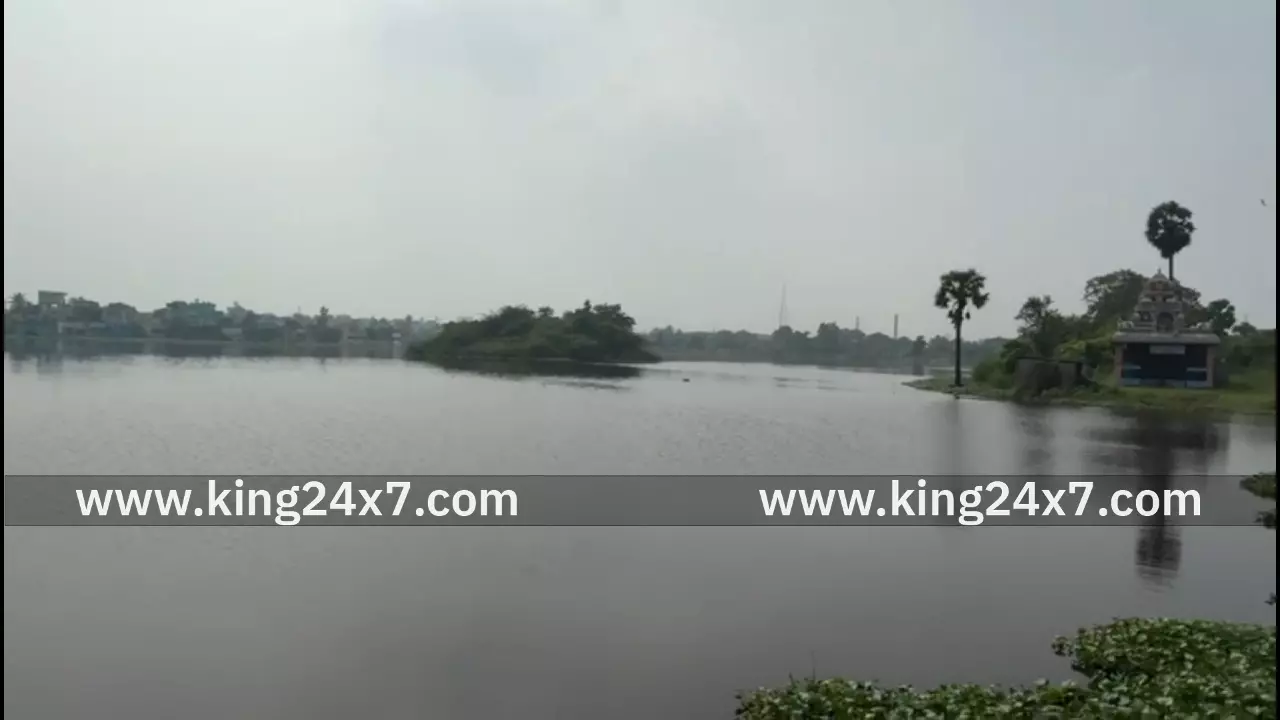 கும்மிடிப்பூண்டியில் தொழிற்சாலை கழிவுகளால் மாசடைந்த தாமரை ஏரியை மத்திய குழு ஆய்வு