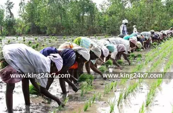 ராமநாதபுரம் விவசாய சங்கம் உண்ணாவிரத போராட்டம் அறிவிப்பு
