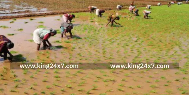 ராமநாதபுரம் விவசாய சங்கம் உண்ணாவிரத போராட்டம் அறிவிப்பு