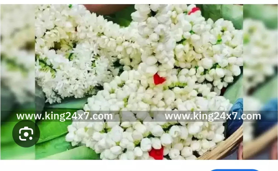 திண்டுக்கல் பூ மார்க்கெட்டில் பூக்களின் விலை திண்டுக்கல் பூ மார்க்கெட்டில் பூக்களின் விலை