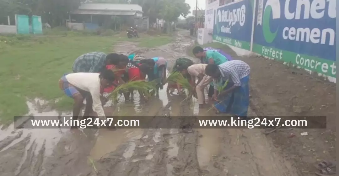 சாலையை சீரமைக்க வேண்டி கொட்டும் மழையில் நாற்று நடும் போராட்டம்.