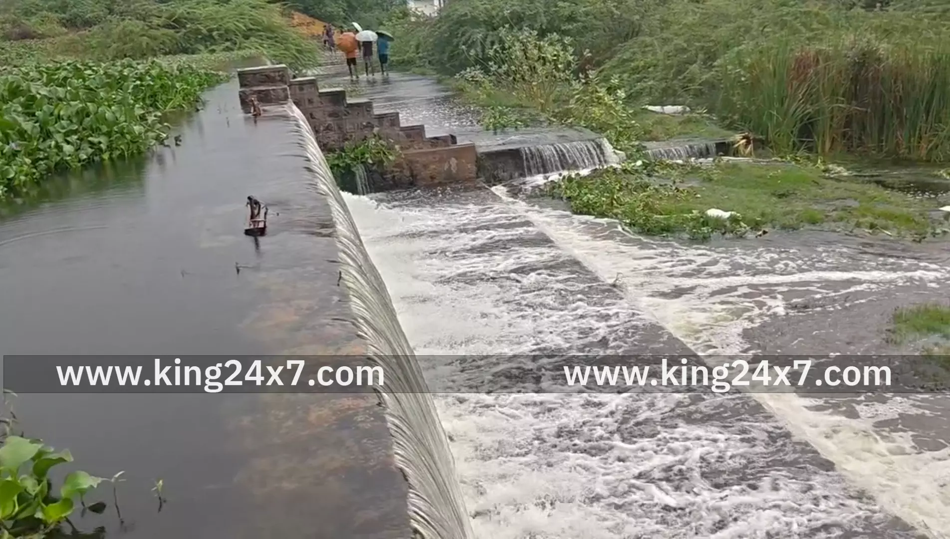 கண்மாயில்துள்ளிய மீன்களை கொட்டும் மழையுலும் அள்ளி செல்லும்   மக்கள் ....