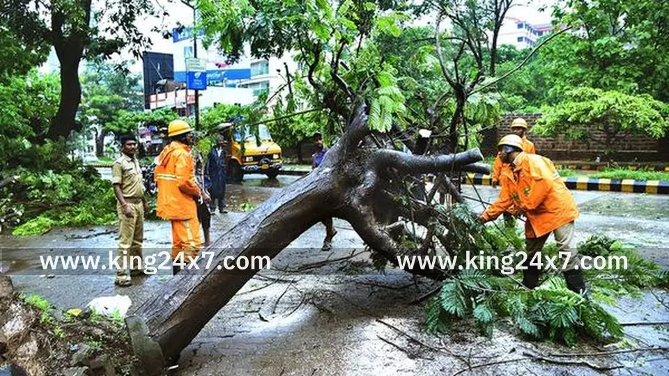 தொடர்மழை காரணமாக சென்னையில் 8 இடங்களில் மரங்கள் சாய்ந்தன!!