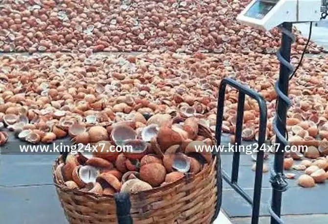 பரமத்தி வேலூரில் ரூ.9.55 லட்சத்துக்கு கொப்பரை ஏலம்.