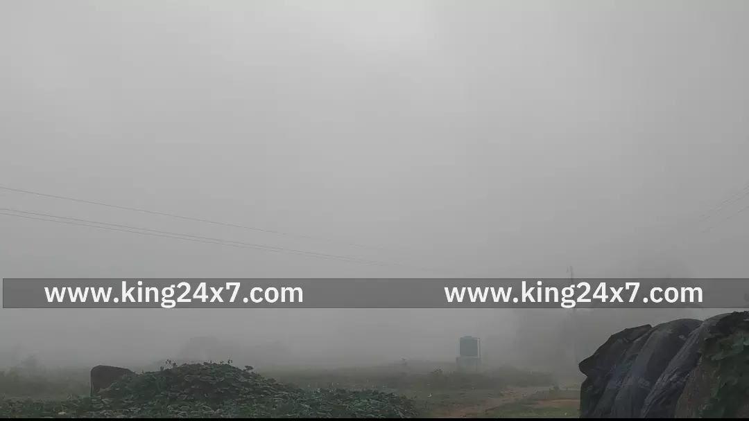 ஆண்டிப்பட்டி பகுதியில் கொட்டி தீர்த்த பனிமழை.