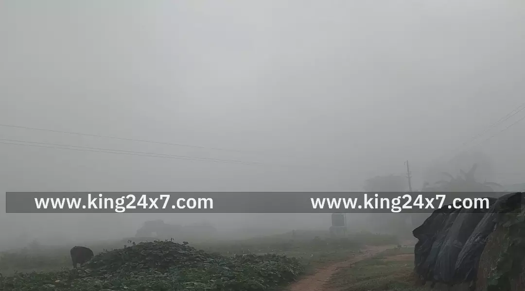 ஆண்டிப்பட்டி பகுதியில் கொட்டி தீர்த்த பனிமழை.