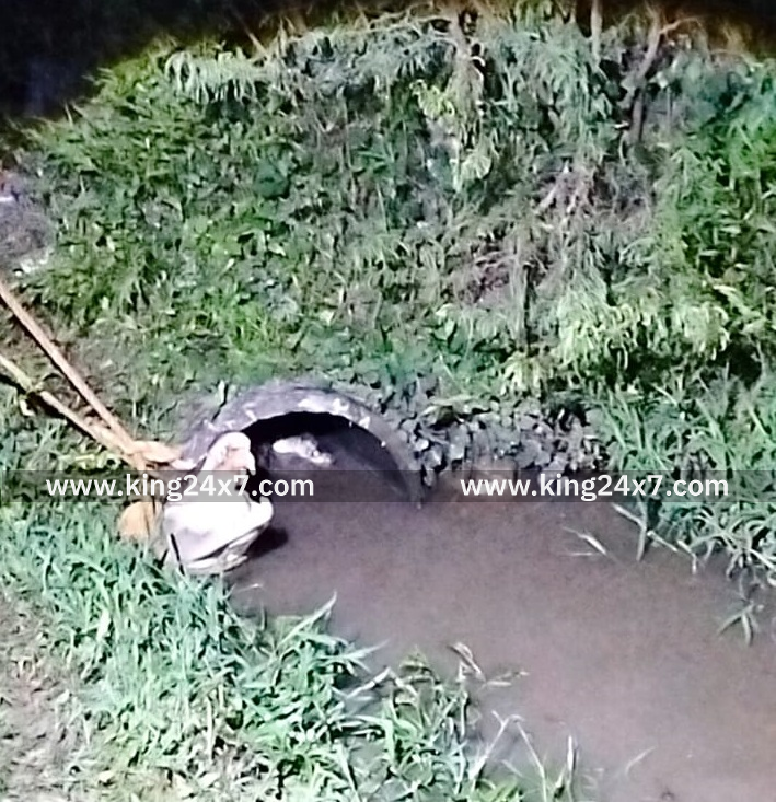 ரெட்டிப்பாளையம் பகுதி வயல்வெளியில் உலா வந்த முதலை: வனத்துறை, தீயணைப்புத்துறையினர் பாதுகாப்பாக பிடித்தனர்