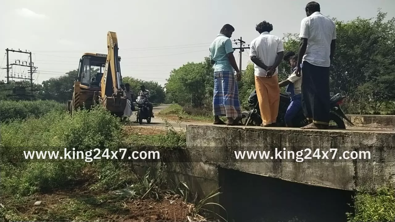 கள்ளை சாலையில் ஜேசிபி மூலம் பனை மரங்கள் அகற்றம்