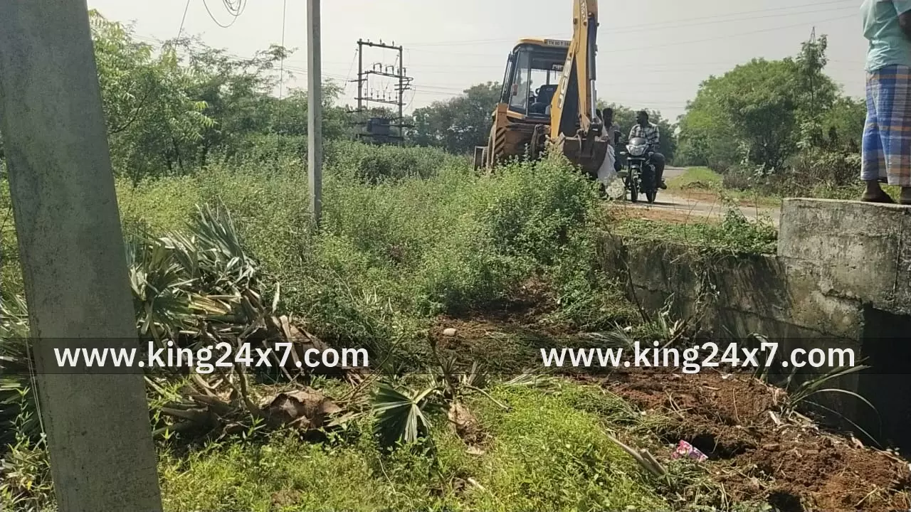 கள்ளை சாலையில் ஜேசிபி மூலம் பனை மரங்கள் அகற்றம்