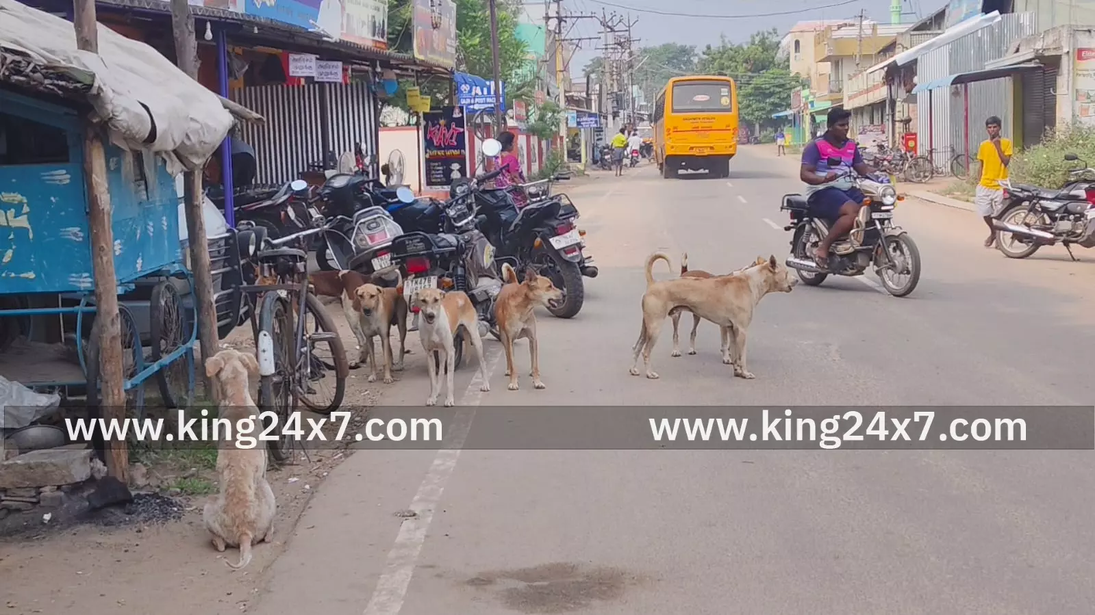 கிருஷ்ணராயபுரம் பகுதிகளில் தெரு நாய்கள் எண்ணிக்கை அதிகரிப்பு கிருஷ்ணராயபுரம் பகுதிகளில் தெரு நாய்கள் எண்ணிக்கை அதிகரிப்பு
