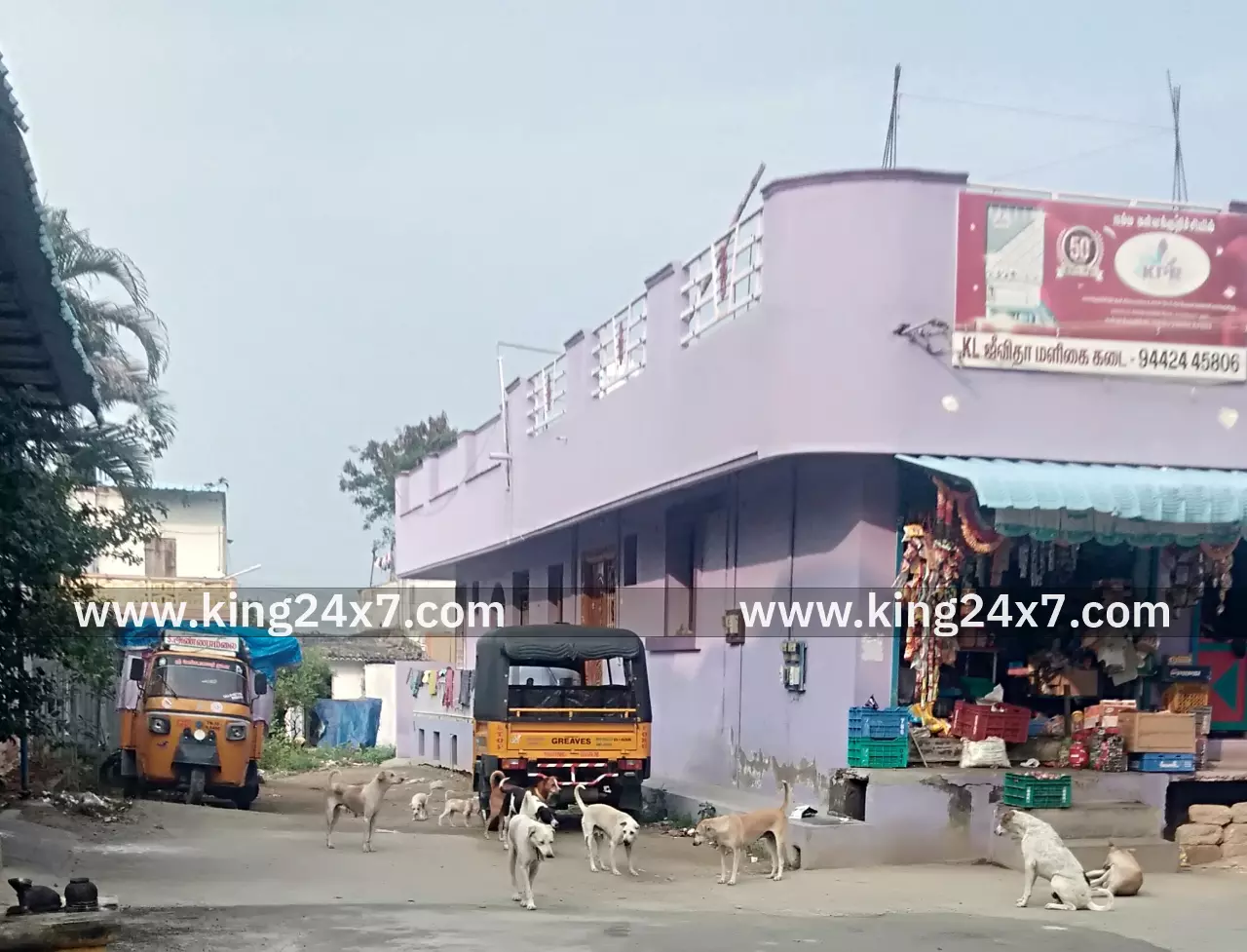 நாளுக்கு நாள் அதிகரித்து வரும் தெரு நாய்கள் தொல்லை! தெரு நாய்கள் காப்பகம் அமைப்பது எப்போது? மக்கள் நீதிப் பேரவை கேள்வி! நாளுக்கு நாள் அதிகரித்து வரும் தெரு நாய்கள் தொல்லை! தெரு நாய்கள் காப்பகம் அமைப்பது எப்போது? மக்கள் நீதிப் பேரவை கேள்வி!