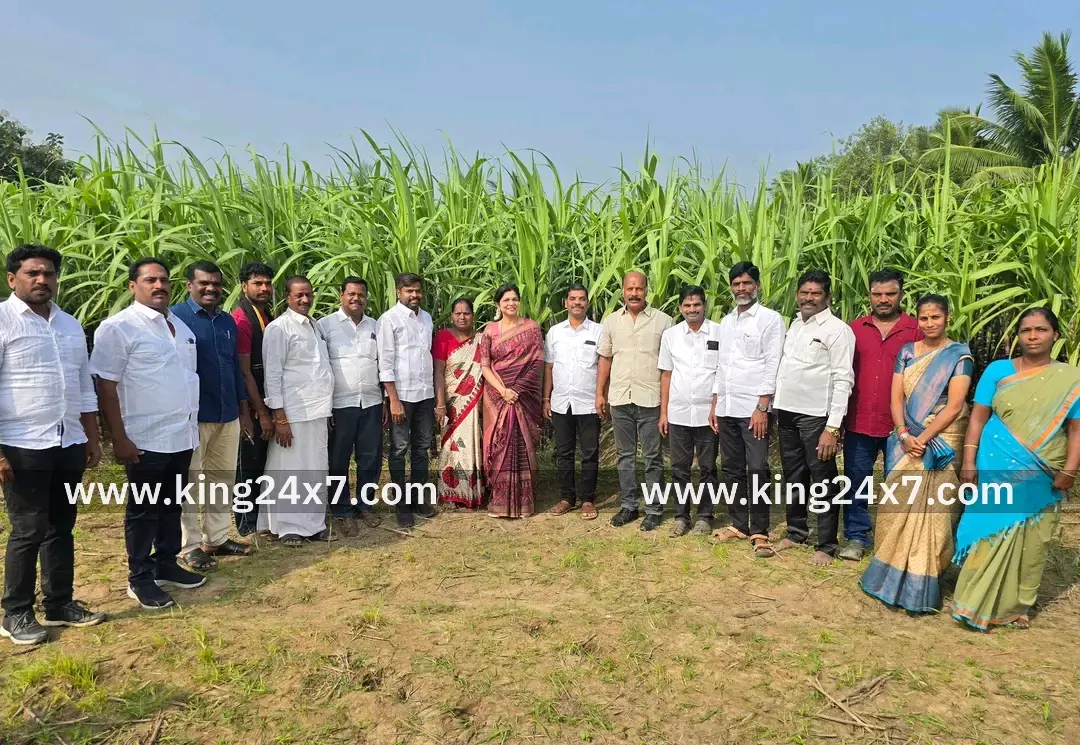 கடலூரில் கரும்பு விவசாயிகளை சந்தித்த சௌமியா அன்புமணி கடலூரில் கரும்பு விவசாயிகளை சந்தித்த சௌமியா அன்புமணி