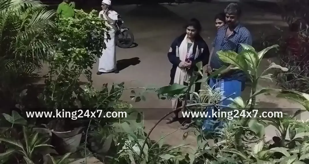 சீர்காழியில் உள்ள தனியார் பள்ளியில், அதிசய பிரம்ம கமலம் மலர் வெள்ளிக்கிழமை இரவு பூத்தது. இந்துக்களின் ஆன்மிக நம்பிக்கையை பெற்றது இந்த மலர் என்பதால், இரவுநேரத்திலும் அதைப் பார் சீர்காழியில் உள்ள தனியார் பள்ளியில், அதிசய பிரம்ம கமலம் மலர் வெள்ளிக்கிழமை இரவு பூத்தது. இந்துக்களின் ஆன்மிக நம்பிக்கையை பெற்றது இந்த மலர் என்பதால், இரவுநேரத்திலும் அதைப் பார்