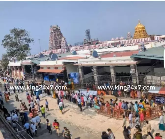 பழனி முருகன் கோவிலில் அலைமோதிய மக்கள் கூட்டம் பழனி முருகன் கோவிலில் அலைமோதிய மக்கள் கூட்டம்