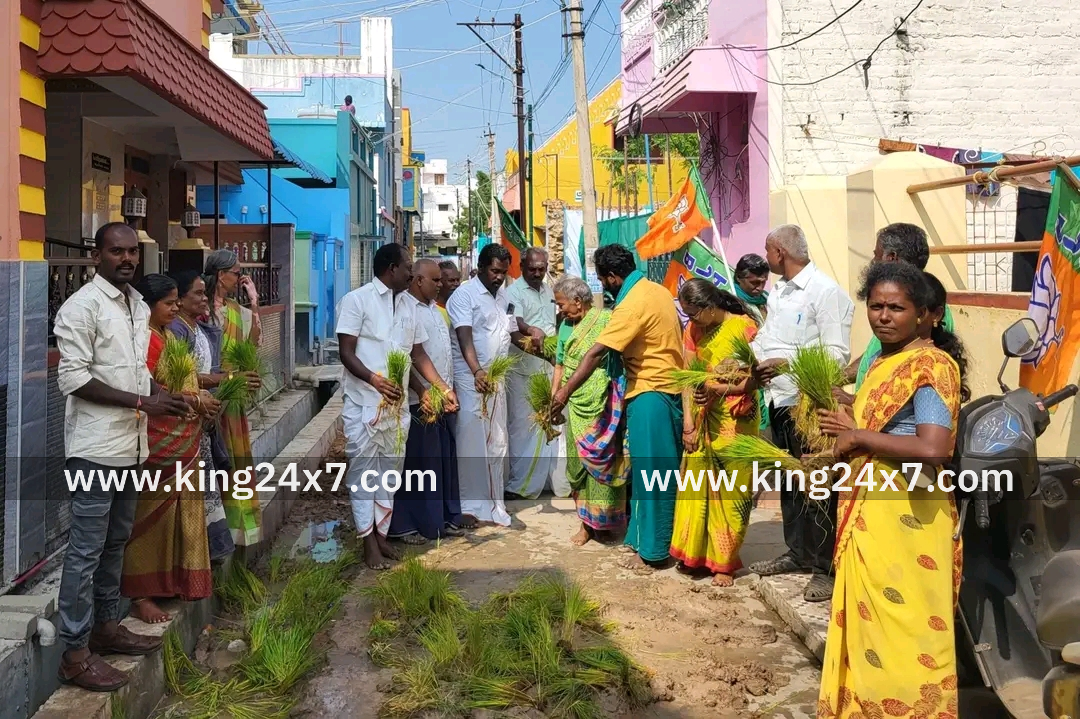 சுரண்டையில் பாஜக சார்பில் நாற்று நடும் போராட்டம் நடந்தது