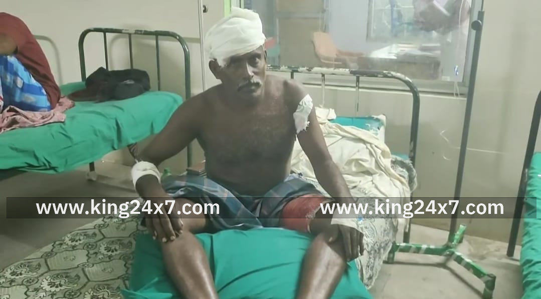 ராமநாதபுரம் விளை நிலத்தில் புகுந்த காட்டுப்பன்றிகள் கடித்து விவசாயி படுகாயம்