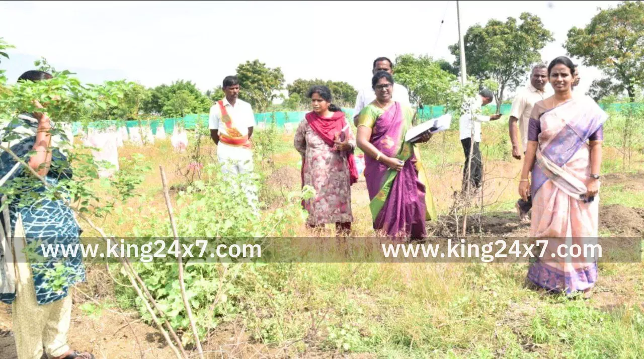 நாமக்கல் மாவட்டத்தில் உள்ள கிராம ஊராட்சிப் பகுதிகளில் நடப்படும் மரக்கன்றுகளை அந்த பகுதியைச் சேர்ந்த பொதுமக்கள் தத்தெடுத்துக் கொண்டு பராமரிக்க வேண்டும் மாவட்ட ஆட்சியர் வேண்டுகோள். நாமக்கல் மாவட்டத்தில் உள்ள கிராம ஊராட்சிப் பகுதிகளில் நடப்படும் மரக்கன்றுகளை அந்த பகுதியைச் சேர்ந்த பொதுமக்கள் தத்தெடுத்துக் கொண்டு பராமரிக்க வேண்டும் மாவட்ட ஆட்சியர் வேண்டுகோள்.