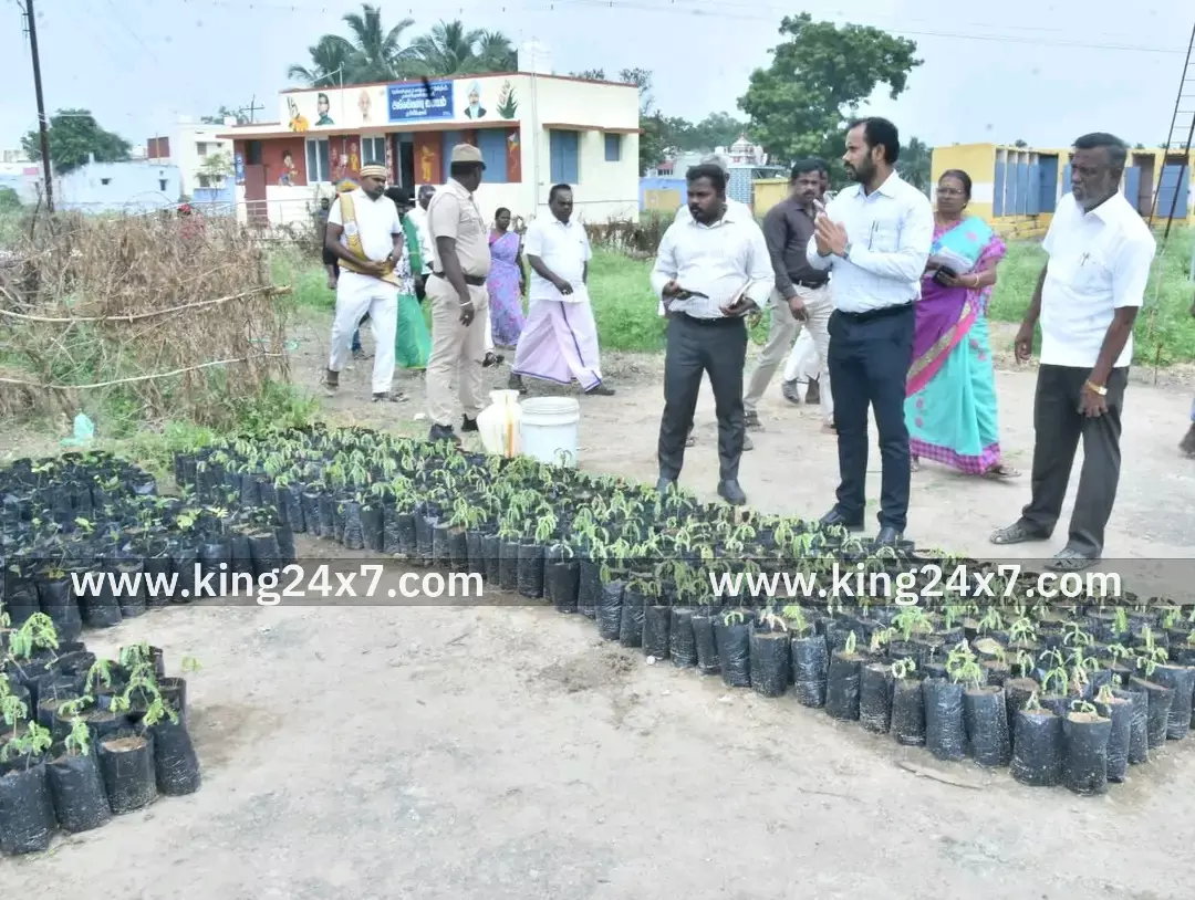 தென்காசி அருகே திட்ட பணிகளை ஆய்வு செய்த கலெக்டர் தென்காசி அருகே திட்ட பணிகளை ஆய்வு செய்த கலெக்டர்