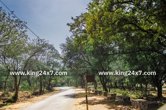 ஒகேனக்கலில் அடையாளம் தெரியாத ஆண் பிணம்