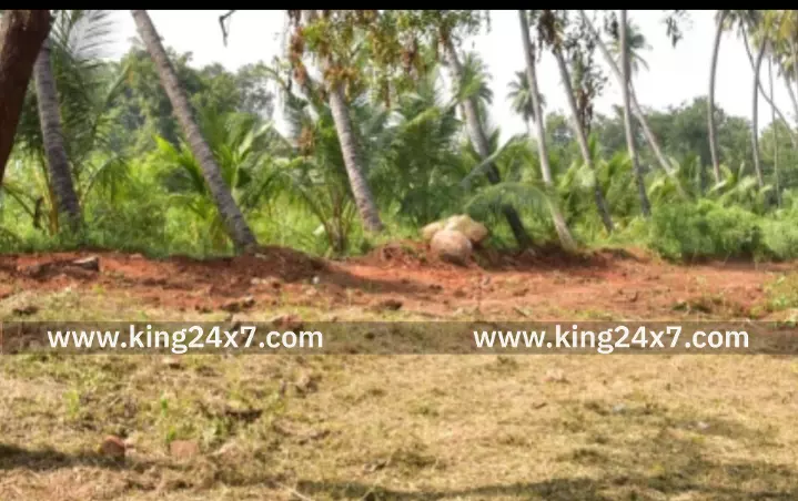 புகலூரில் பள்ளிவாசலுக்கு சுற்றுச்சுவர் அமைக்கும் பணிக்கு ஆய்வு. புகலூரில் பள்ளிவாசலுக்கு சுற்றுச்சுவர் அமைக்கும் பணிக்கு ஆய்வு.