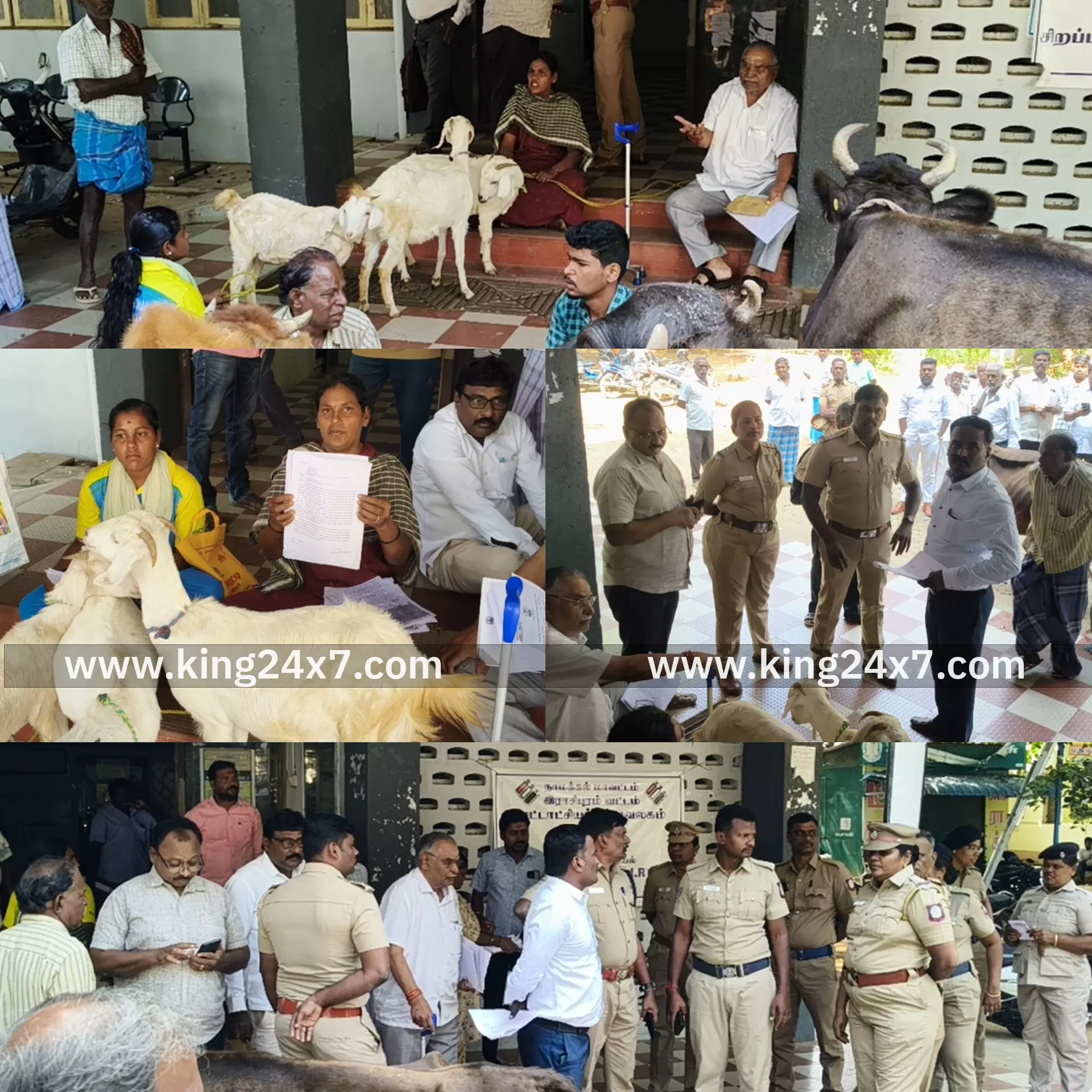 ராசிபுரம் அருகே பிலிப்பாக்குட்டைப் பகுதியில், 80 ஆண்டாக பயன்படுத்தும் பாதையை ஆக்கிரமைத்துள்ளதை அகற்றக்கோரி ஆடு, மாடுகளுடன் வந்து ராசிபுரம் வட்டாட்சியர் அலுவலகத்தை முற்றுகை.. ராசிபுரம் அருகே பிலிப்பாக்குட்டைப் பகுதியில், 80 ஆண்டாக பயன்படுத்தும் பாதையை ஆக்கிரமைத்துள்ளதை அகற்றக்கோரி ஆடு, மாடுகளுடன் வந்து ராசிபுரம் வட்டாட்சியர் அலுவலகத்தை முற்றுகை..