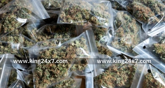 ராமநாதபுரம் கஞ்சா  பறிமுதல்: இருவர் கைது