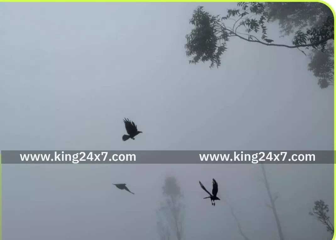 திண்டுக்கல் மாவட்டம் கொடைக்கானலில் திண்டுக்கல் மாவட்டம் கொடைக்கானலில்