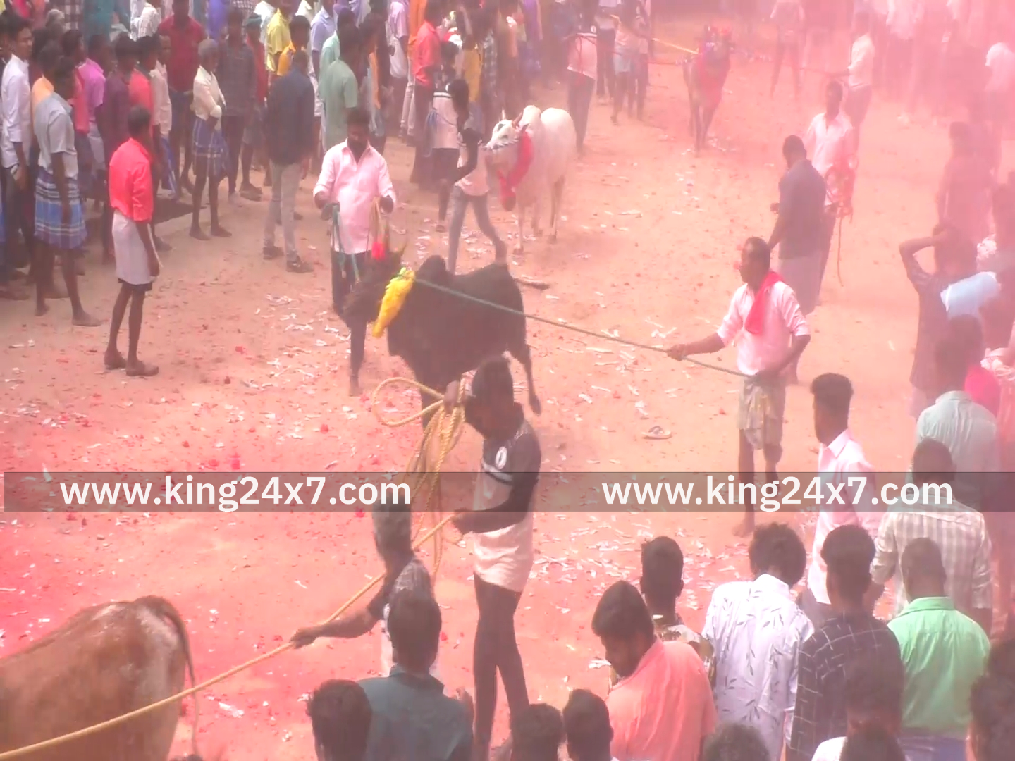 மணப்பாறை அருகே ஆங்கில புத்தாண்டை முன்னிட்டு ஜல்லிக்கட்டு காளைகளுக்கு புனித நீர் தெளிப்பு.