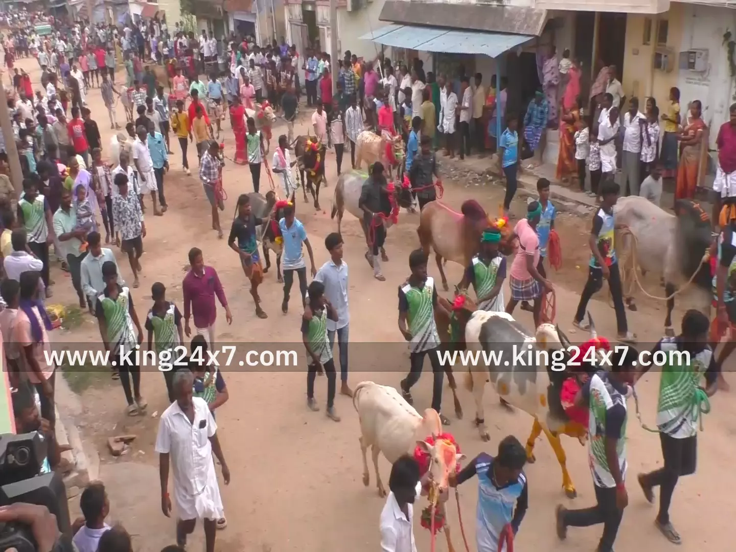 மணப்பாறை அருகே ஆங்கில புத்தாண்டை முன்னிட்டு ஜல்லிக்கட்டு காளைகளுக்கு புனித நீர் தெளிப்பு. மணப்பாறை அருகே ஆங்கில புத்தாண்டை முன்னிட்டு ஜல்லிக்கட்டு காளைகளுக்கு புனித நீர் தெளிப்பு.