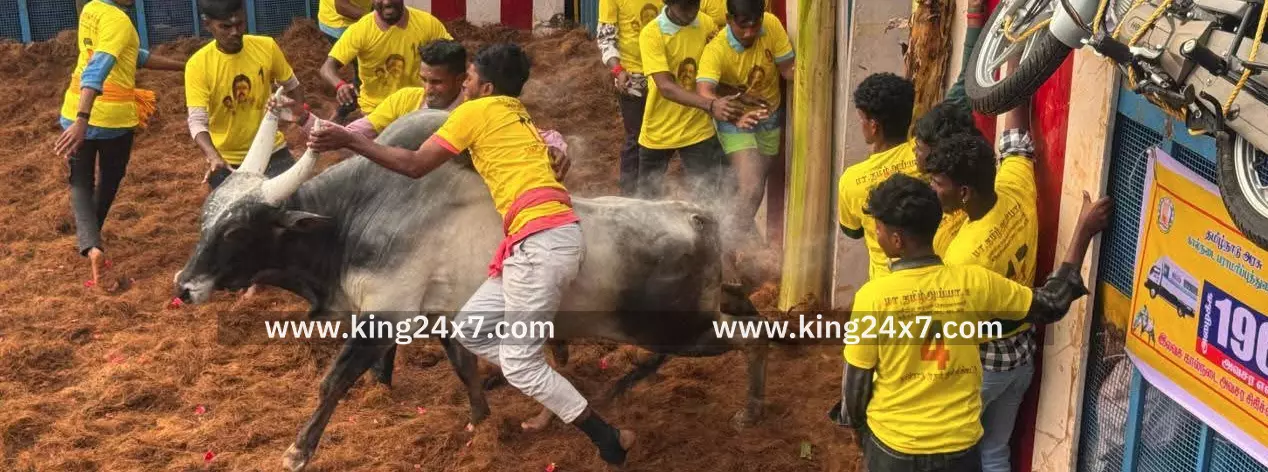 தமிழ்நாட்டில் முதல் ஜல்லிக்கட்டு போட்டி இன்று தொடங்கியது தமிழ்நாட்டில் முதல் ஜல்லிக்கட்டு போட்டி இன்று தொடங்கியது