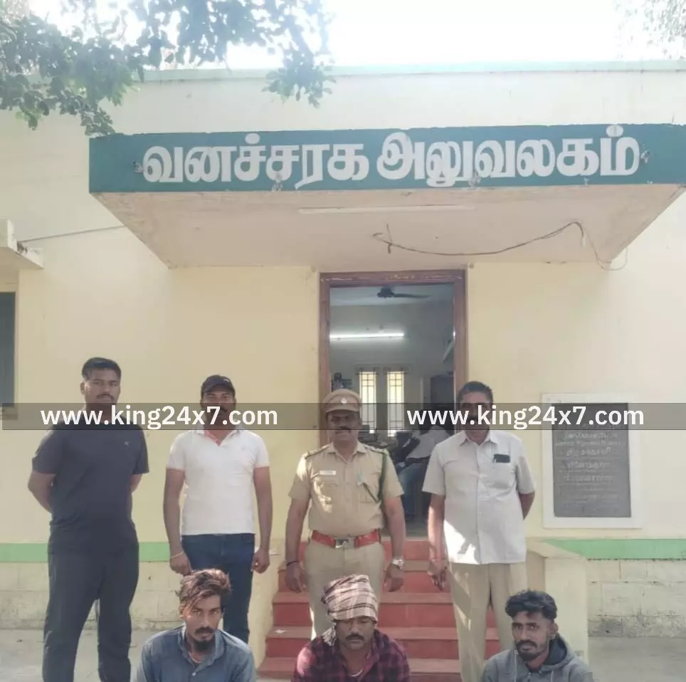 ஒட்டன்சத்திரம் அருகே காட்டு முயலை வேட்டையாட முயன்ற 3 பேர் கைது, ரூ. 20,000 அபராதம் - வனத்துறையினர் நடவடிக்கை ஒட்டன்சத்திரம் அருகே காட்டு முயலை வேட்டையாட முயன்ற 3 பேர் கைது, ரூ. 20,000 அபராதம் - வனத்துறையினர் நடவடிக்கை