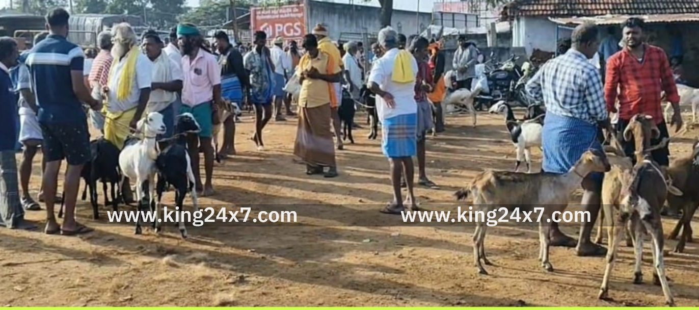 செம்பட்டி ஆட்டு சந்தையில் தைப்பொங்கல் பண்டிகையை முன்னிட்டு ரூ.2 கோடி வரை வியாபாரம்