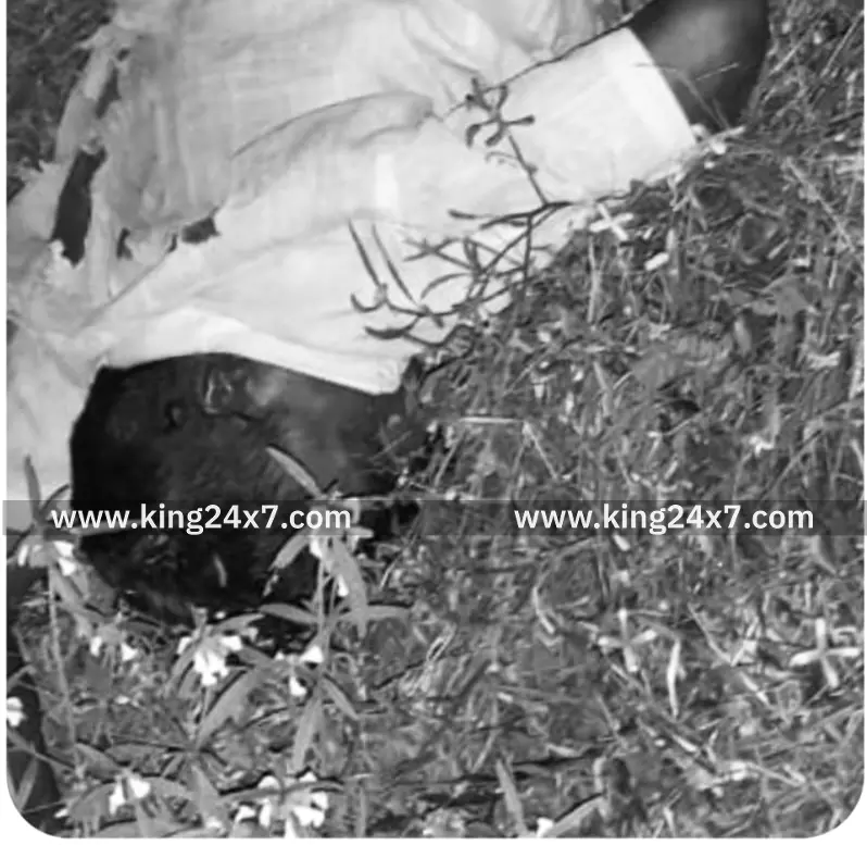 கள்ளிமந்தயம் அருகே பைக் மீது கார் மோதி 2 விவசாயிகள் உயிரிழப்பு கள்ளிமந்தயம் அருகே பைக் மீது கார் மோதி 2 விவசாயிகள் உயிரிழப்பு