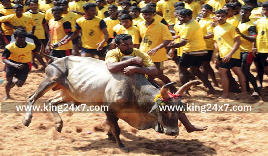 திருச்சி மாவட்டம் சூரியூரில் ஜல்லிக்கட்டு போட்டி உறுதி மொழியுடன் கோலாகலமாக தொடங்கியது!!