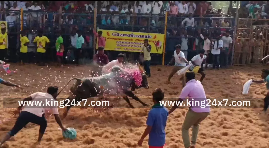 உயிரிழக்கும் வீரர்களின் குடும்பத்தினருக்கு ரூ.10 லட்சம் வழங்கப்படும் எடப்பாடி கே.பழனிசாமி கூறினார். உயிரிழக்கும் வீரர்களின் குடும்பத்தினருக்கு ரூ.10 லட்சம் வழங்கப்படும் எடப்பாடி கே.பழனிசாமி கூறினார்.