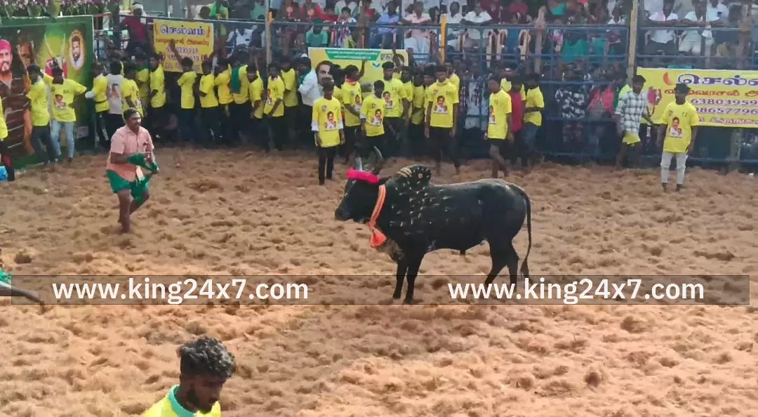உயிரிழக்கும் வீரர்களின் குடும்பத்தினருக்கு ரூ.10 லட்சம் வழங்கப்படும் எடப்பாடி கே.பழனிசாமி கூறினார். உயிரிழக்கும் வீரர்களின் குடும்பத்தினருக்கு ரூ.10 லட்சம் வழங்கப்படும் எடப்பாடி கே.பழனிசாமி கூறினார்.