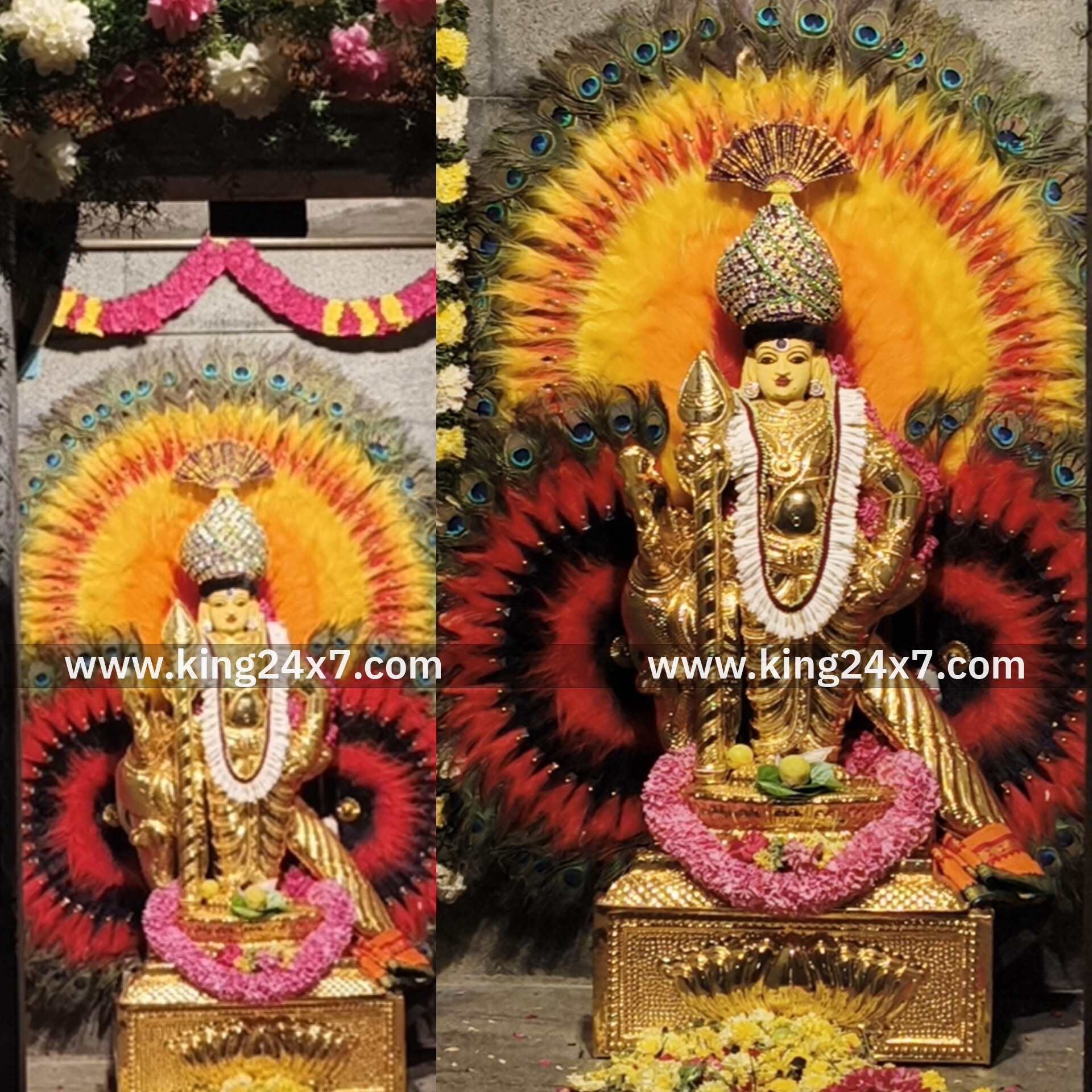 ராசிபுரத்தில் தைப்பூசம் திருவிழாவை முன்னிட்டு தங்க காப்பு அலங்காரத்தில் அருள் பாலித்த பாலமுருகன்...