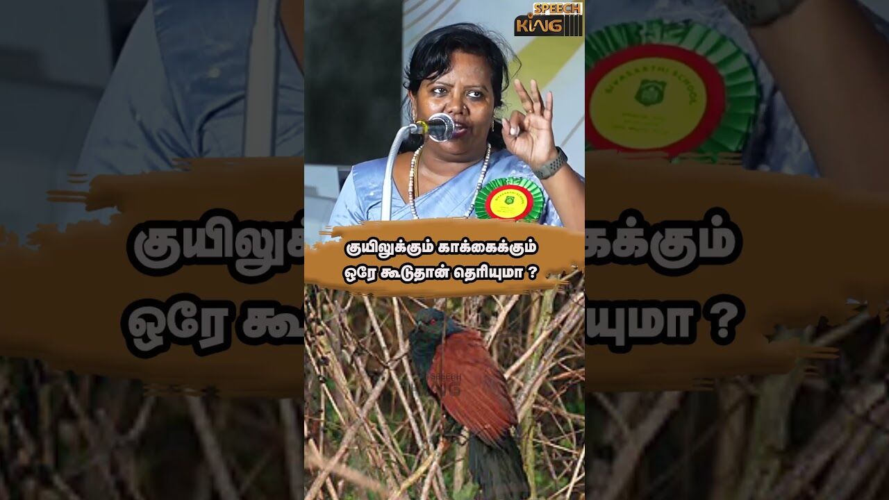 குயிலுக்கும் காக்கைக்கும் ஒரே கூடுதான் தெரியுமா.!!
