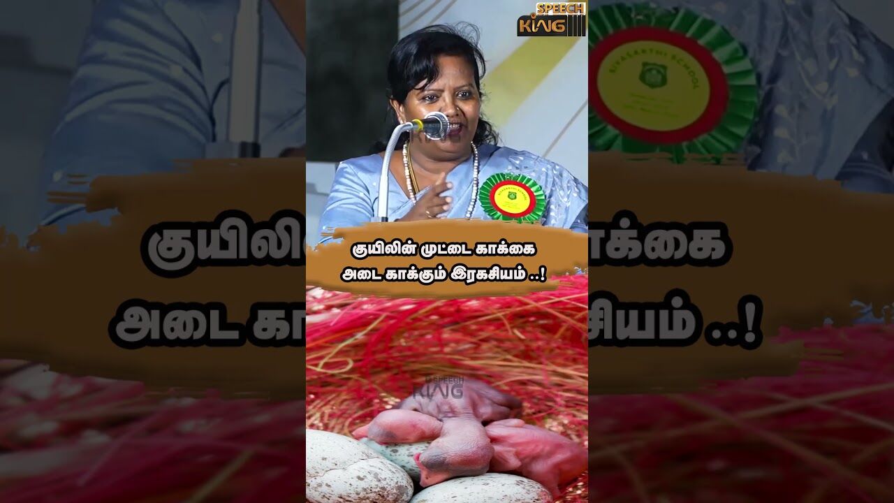 குயிலின் முட்டை காக்கை அடை காக்கும் இரகசியம்.. !
